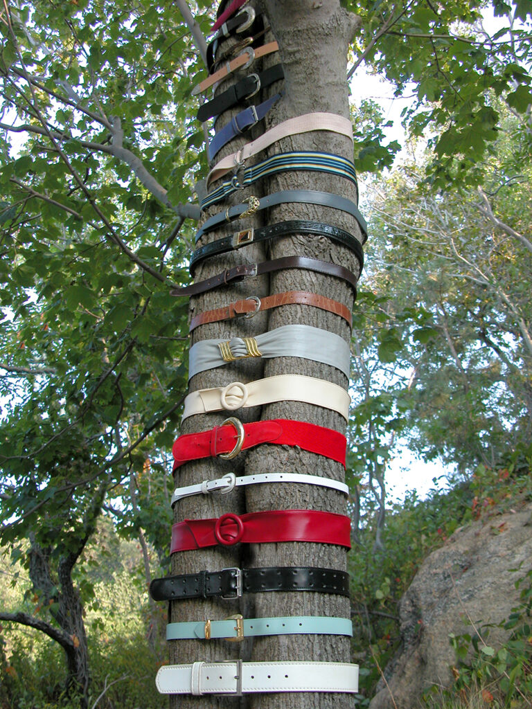 Belt Sculpture: Untitled (25 Belts), 2005