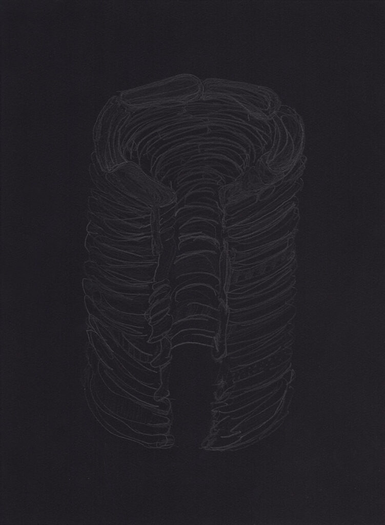 Clothing Sculpture Drawing: Ligature, Black